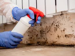 Best Comprehensive Air Testing for Mold Contaminants  in Shelbyville, TN